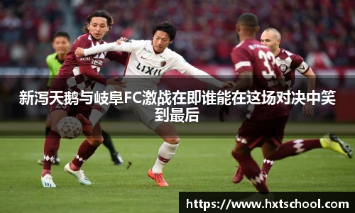 新泻天鹅与岐阜FC激战在即谁能在这场对决中笑到最后